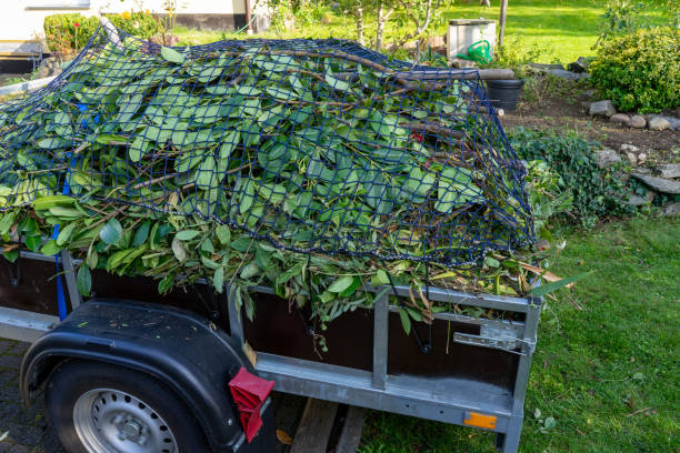 Best Same-Day Junk Removal Services  in , MO